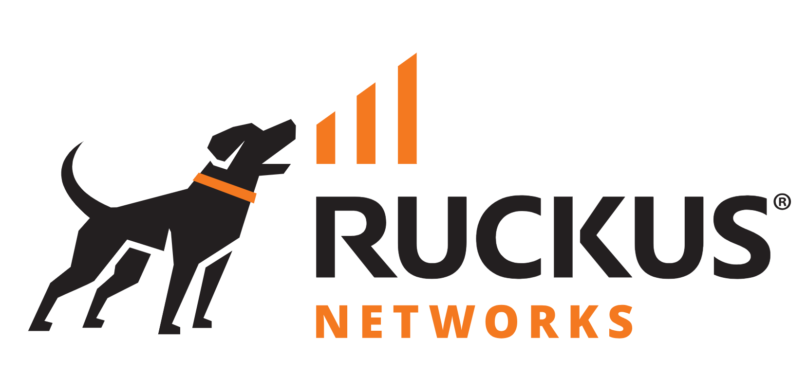 Ruckus Networks